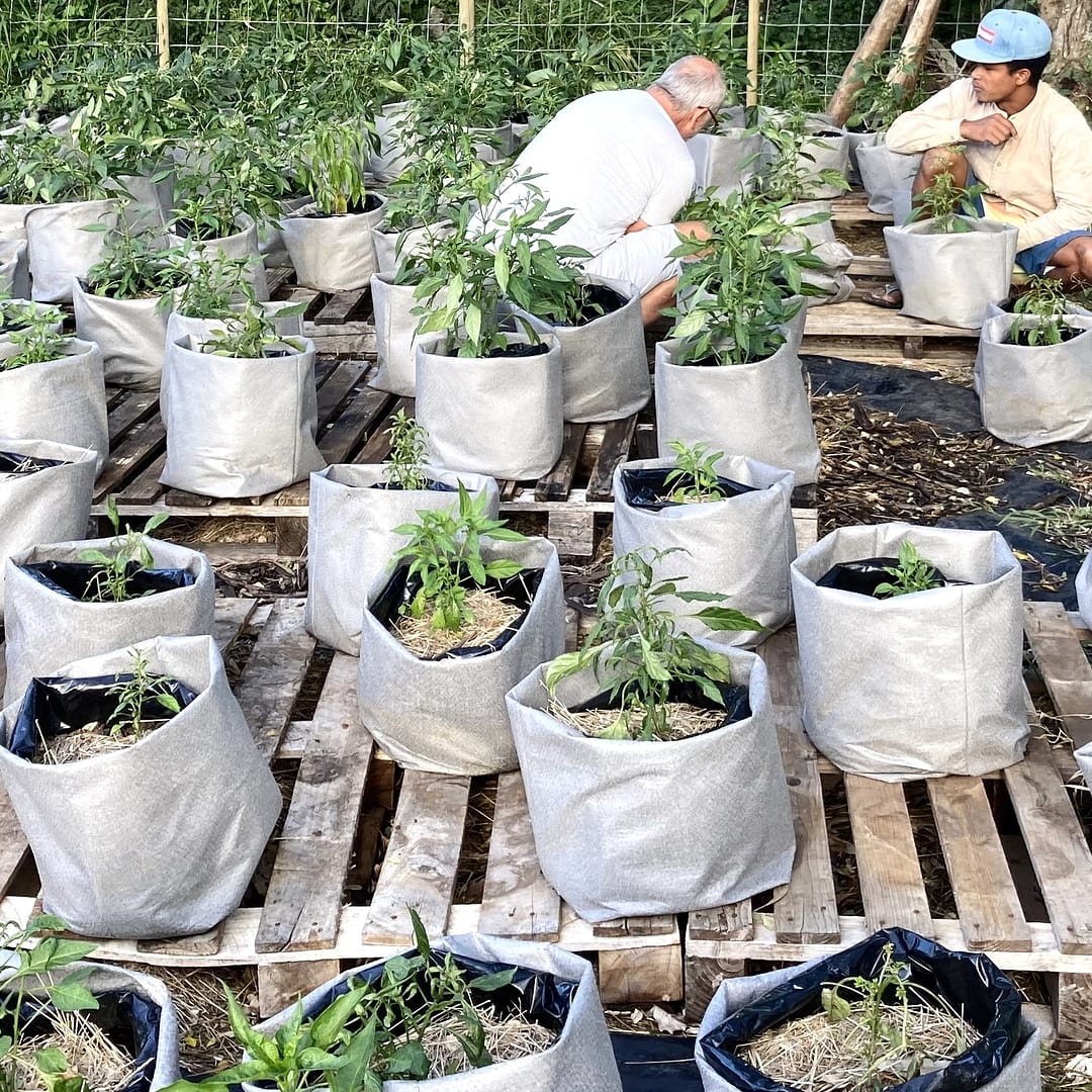 Agric Donation Carousel 4