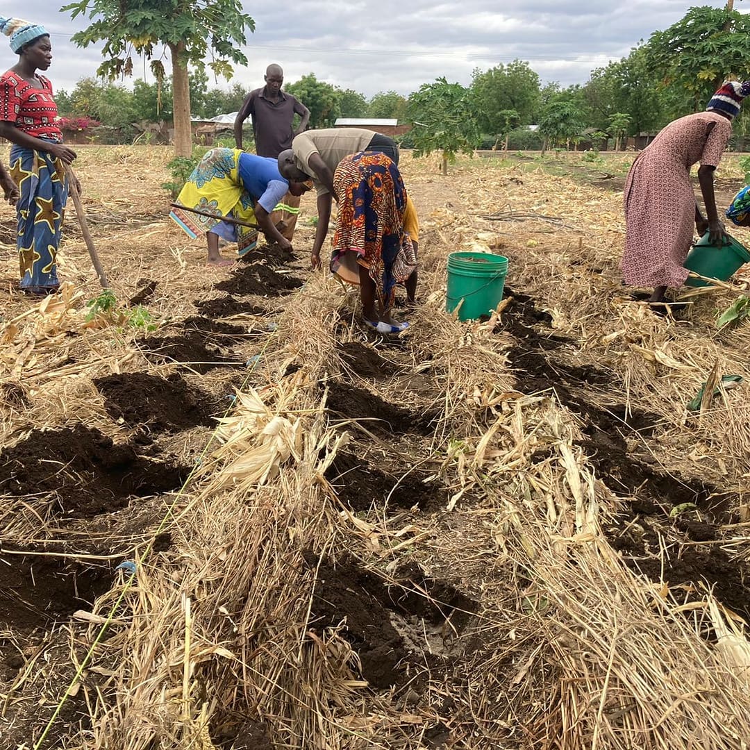 Donation Carousel Square Malawi Agriculture