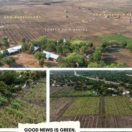 Donation Carousel Square GNCH is Green